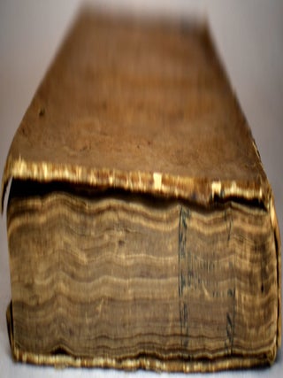 Vita del Prencipe Andrea Doria